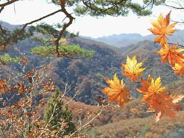 澳門六開彩天天正版免費(fèi)，澳門六開彩正版免費(fèi)天天彩開獎(jiǎng)?lì)A(yù)測(cè)