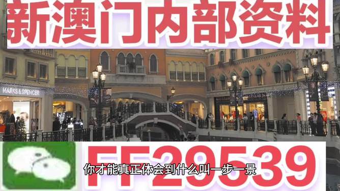 新澳門今晚特馬開獎，期待與驚喜交織的夜晚，澳門今晚特馬開獎，期待與驚喜交織的幸運之夜
