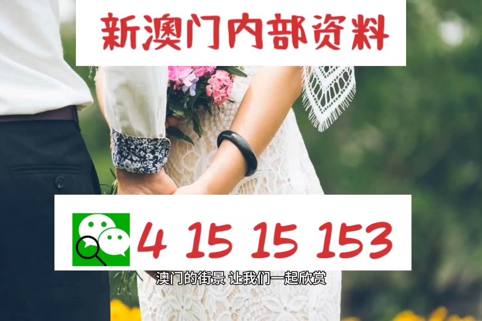 2025新澳精準(zhǔn)資料大揭秘，免費提供的資源與未來展望，揭秘2025新澳精準(zhǔn)資料，免費資源展望未來發(fā)展