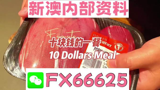 2025新奧精準(zhǔn)正版資料，新奧精準(zhǔn)正版資料 2025年展望