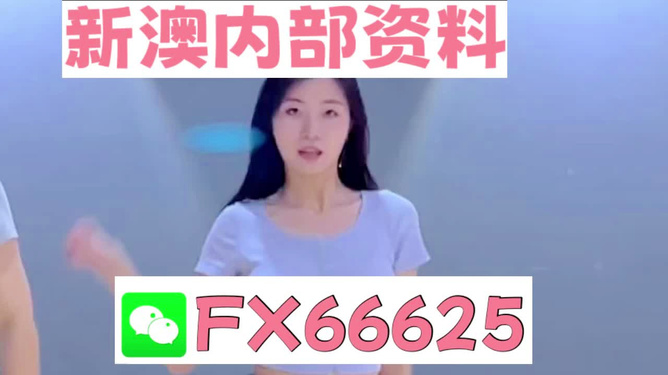 新澳門精準(zhǔn)資料大全管家婆料，澳門精準(zhǔn)資料大全，管家婆料全解析