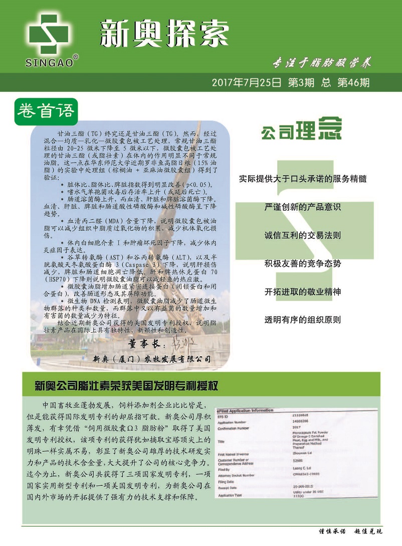 2025新澳精準(zhǔn)正版資料，2025新澳正版資料解析
