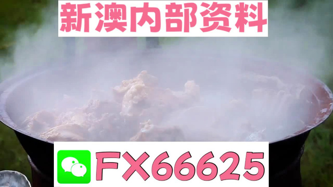 新澳全年免費(fèi)資料大全，一網(wǎng)打盡各類資源，新澳全年免費(fèi)資料大全，各類資源一網(wǎng)打盡