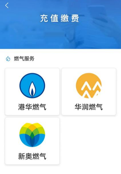 新奧門資料大全正版資料六肖——深度解析與探索，新奧門正版資料六肖深度探索與解析