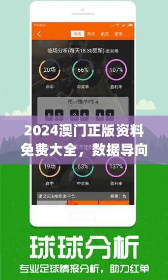 2025澳門免費資料,正版資料，澳門正版資料2025年免費版揭秘