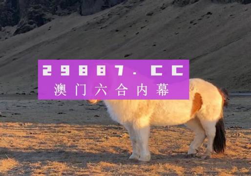揭秘澳門今晚開碼料，展望2024年的新機(jī)遇與挑戰(zhàn)，澳門未來展望，揭秘今晚開碼料與迎接新機(jī)遇的挑戰(zhàn)