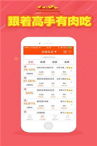 2025天天彩正版資料大全,完善系統(tǒng)評估_9