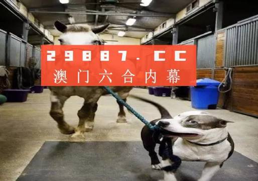 澳門一肖一碼一必中一肖同舟前進(jìn)，澳門一肖一碼必中一精準(zhǔn)預(yù)測(cè)，同舟前進(jìn)共創(chuàng)輝煌