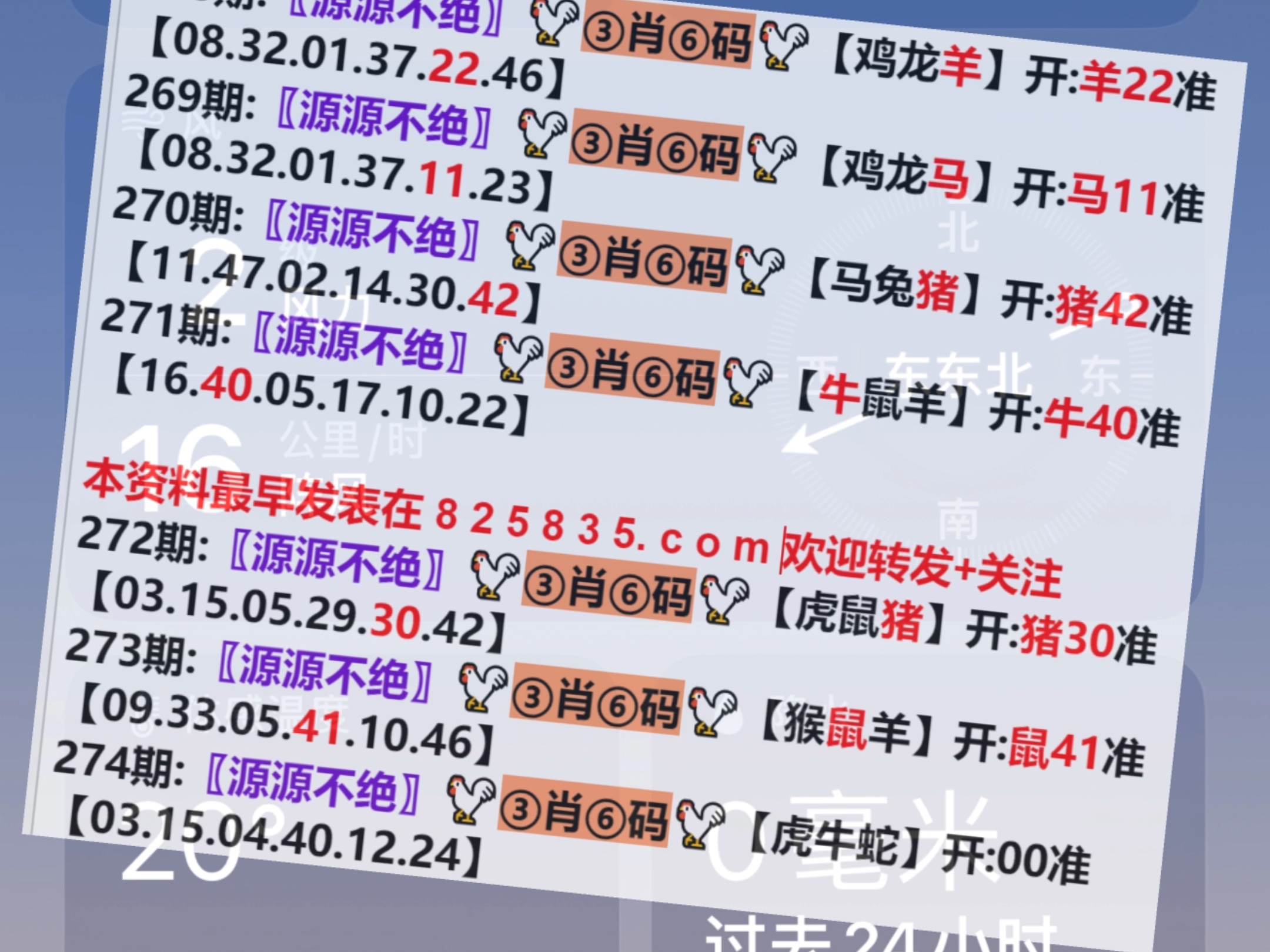霧里看花 第3頁(yè)