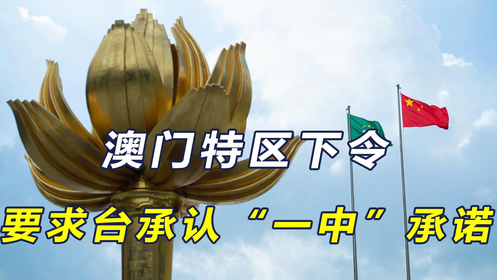 澳門一碼一肖一待一中四不像，深度解讀與探索，澳門一碼一肖一待一中四不像，深度解讀與探索揭秘