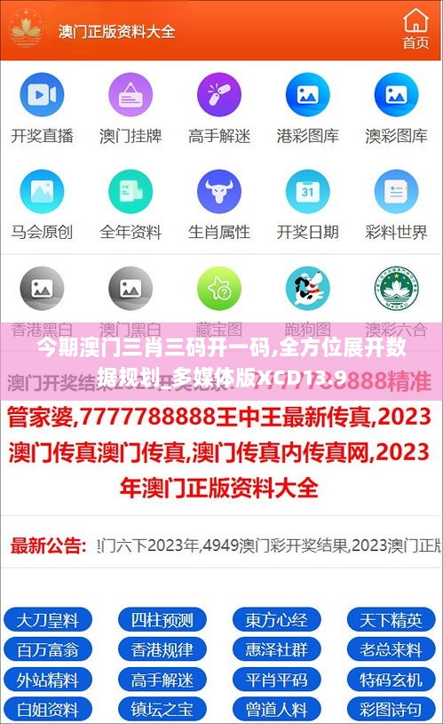 澳門kl33一肖的神秘面紗，澳門kl33一肖的神秘面紗揭曉