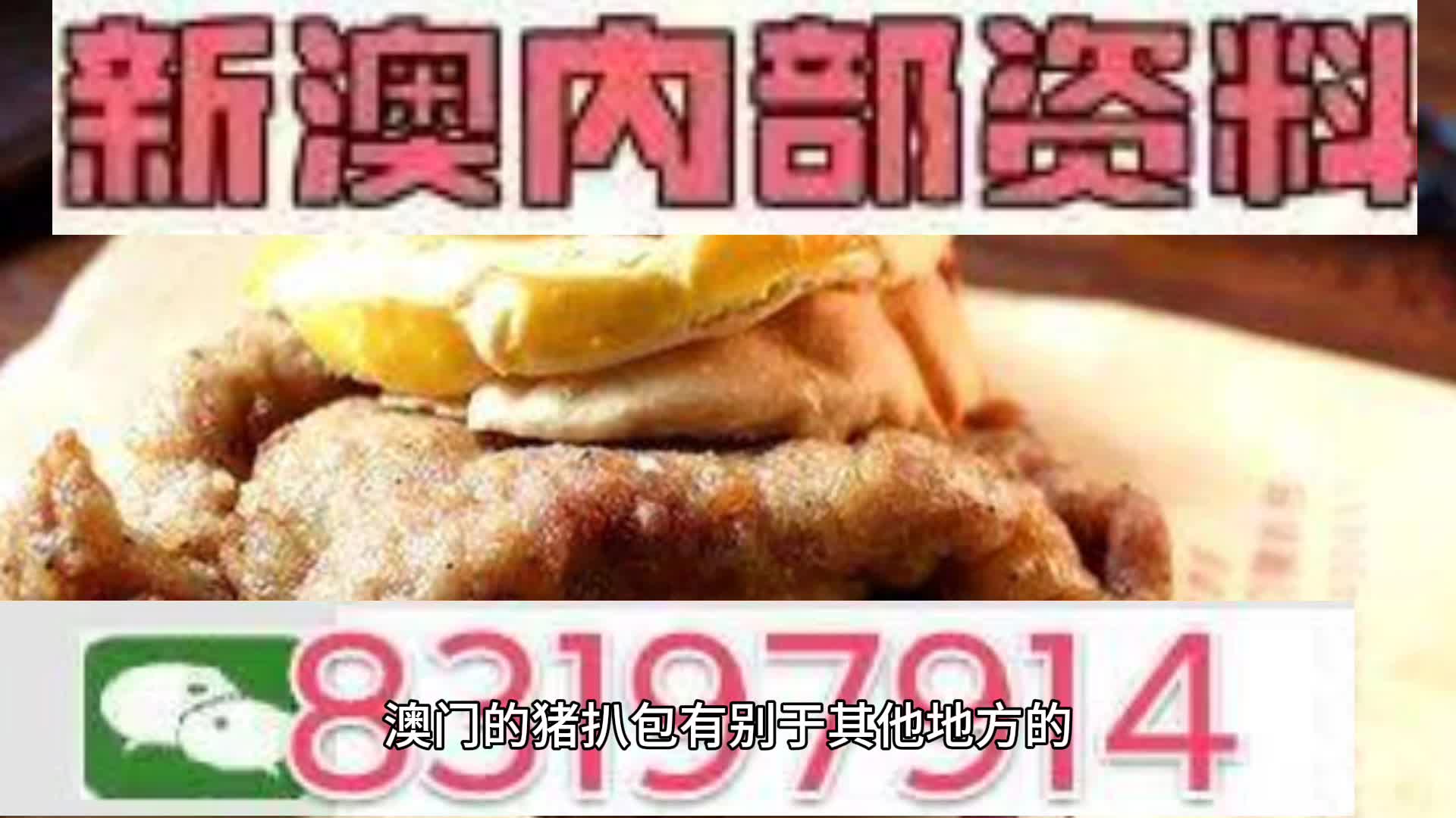 2025新澳精準資料大全，2025新澳精準資料大全手冊