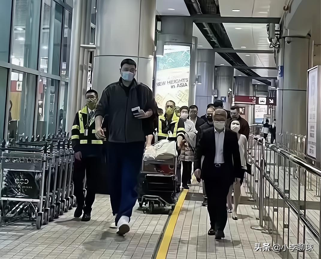 今晚澳門開一肖四不像圖片，揭秘背后的神秘面紗，揭秘澳門今晚開一肖四不像圖片背后的神秘面紗