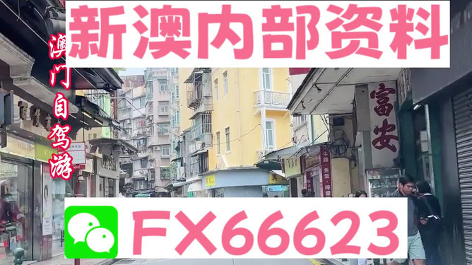 新澳精準(zhǔn)資料免費(fèi)提供，新澳精準(zhǔn)資料免費(fèi)分享