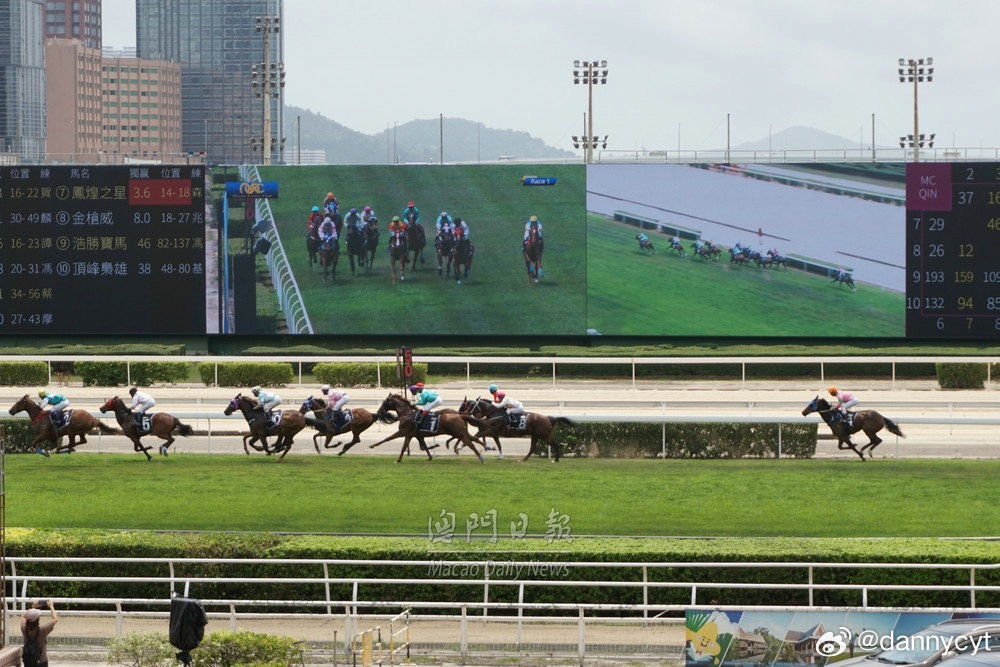 2025新澳門(mén)今晚開(kāi)特馬直播，探索前沿的娛樂(lè)新風(fēng)尚，探索前沿娛樂(lè)風(fēng)尚，2025新澳門(mén)特馬直播今晚開(kāi)啟
