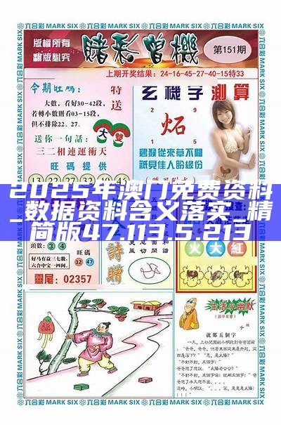 澳門正版免費大全，探索未來的藍圖，澳門正版免費大全，探索未來藍圖
