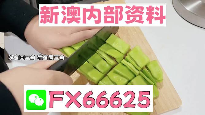 新澳精準(zhǔn)資料免費(fèi)提供，新澳精準(zhǔn)資料免費(fèi)分享