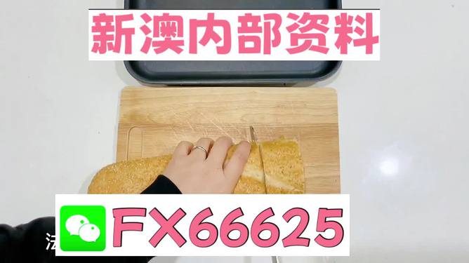 新澳門內(nèi)部一碼精準公開，探索前沿科技的魅力，澳門前沿科技揭秘，一碼精準公開探索科技魅力