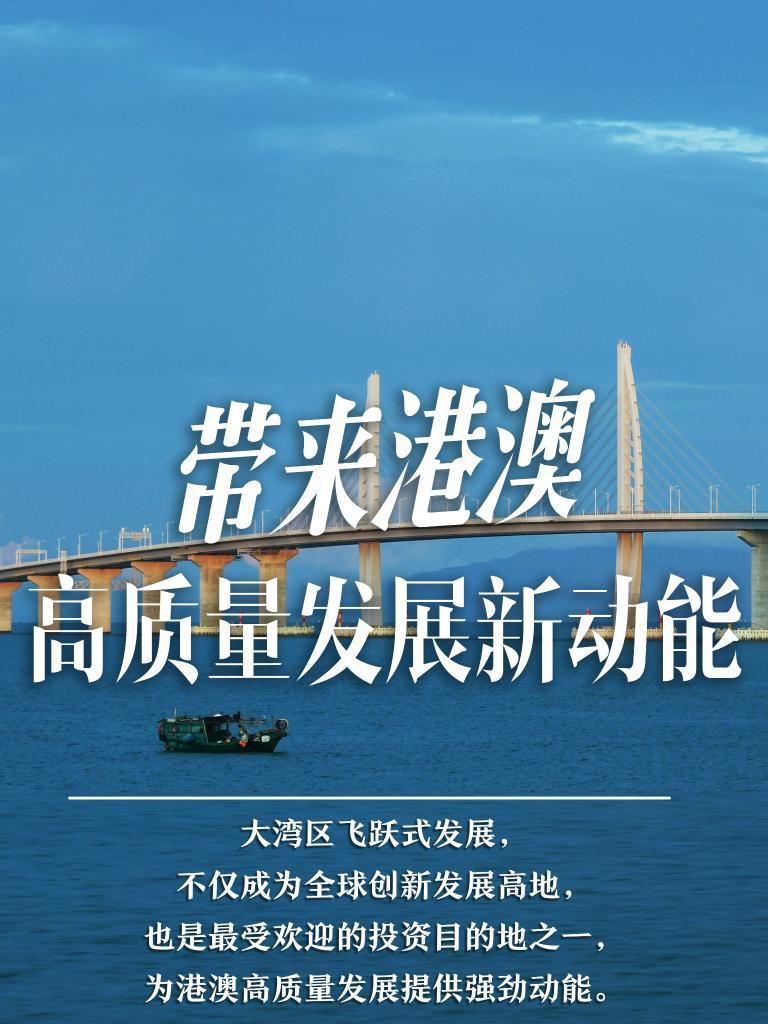 揭秘2025新澳門精準免費大全，揭秘2025新澳門精準免費大全資料全解析