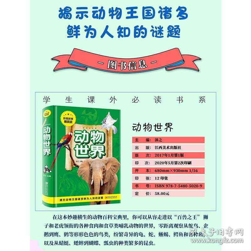 澳門正版資料大全資料生肖卡的奇幻世界，澳門正版資料大全，生肖卡的奇幻樂園