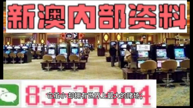 澳門正版精準免費大全，一網(wǎng)打盡各類資訊，澳門正版精準資訊大全，一網(wǎng)打盡各類最新資訊