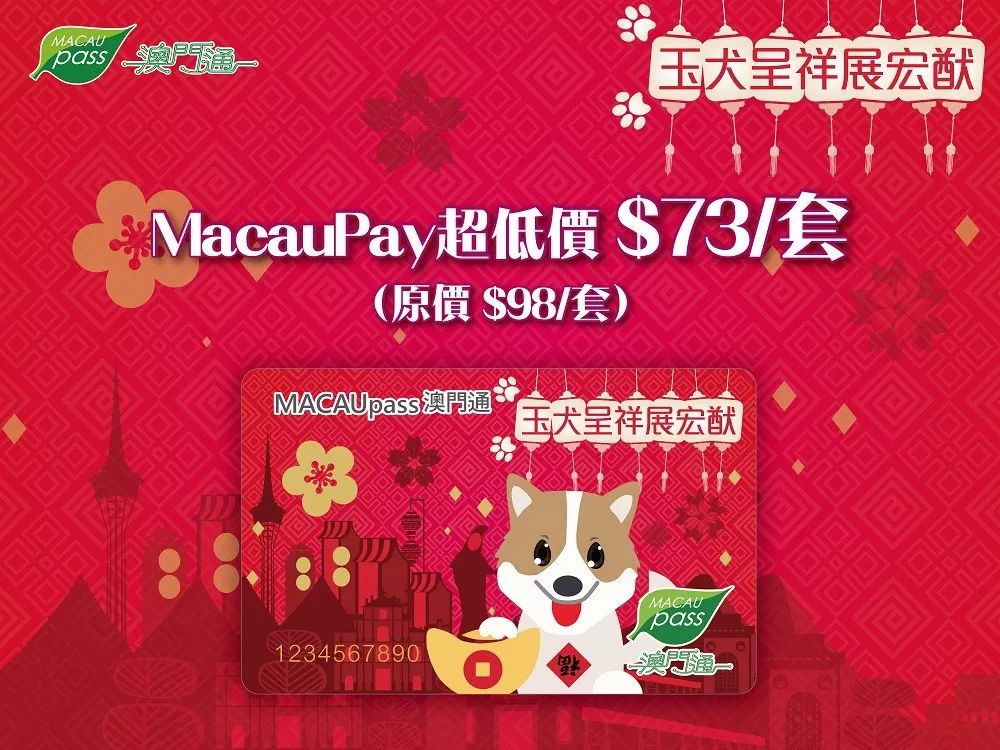 澳門正版資料大全資料生肖卡，澳門正版資料大全，生肖卡全收錄