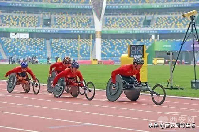 2025新澳門正版免費資本車，澳門正版免費資本車，未來趨勢與機遇