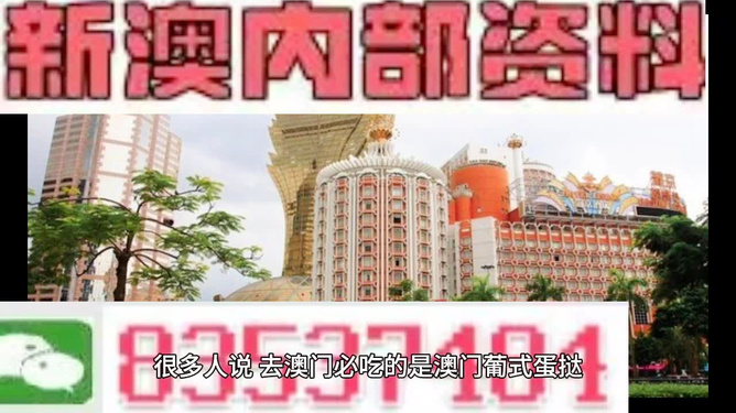 澳門免費精準(zhǔn)資料，探索與解析，澳門免費精準(zhǔn)資料解析與探索