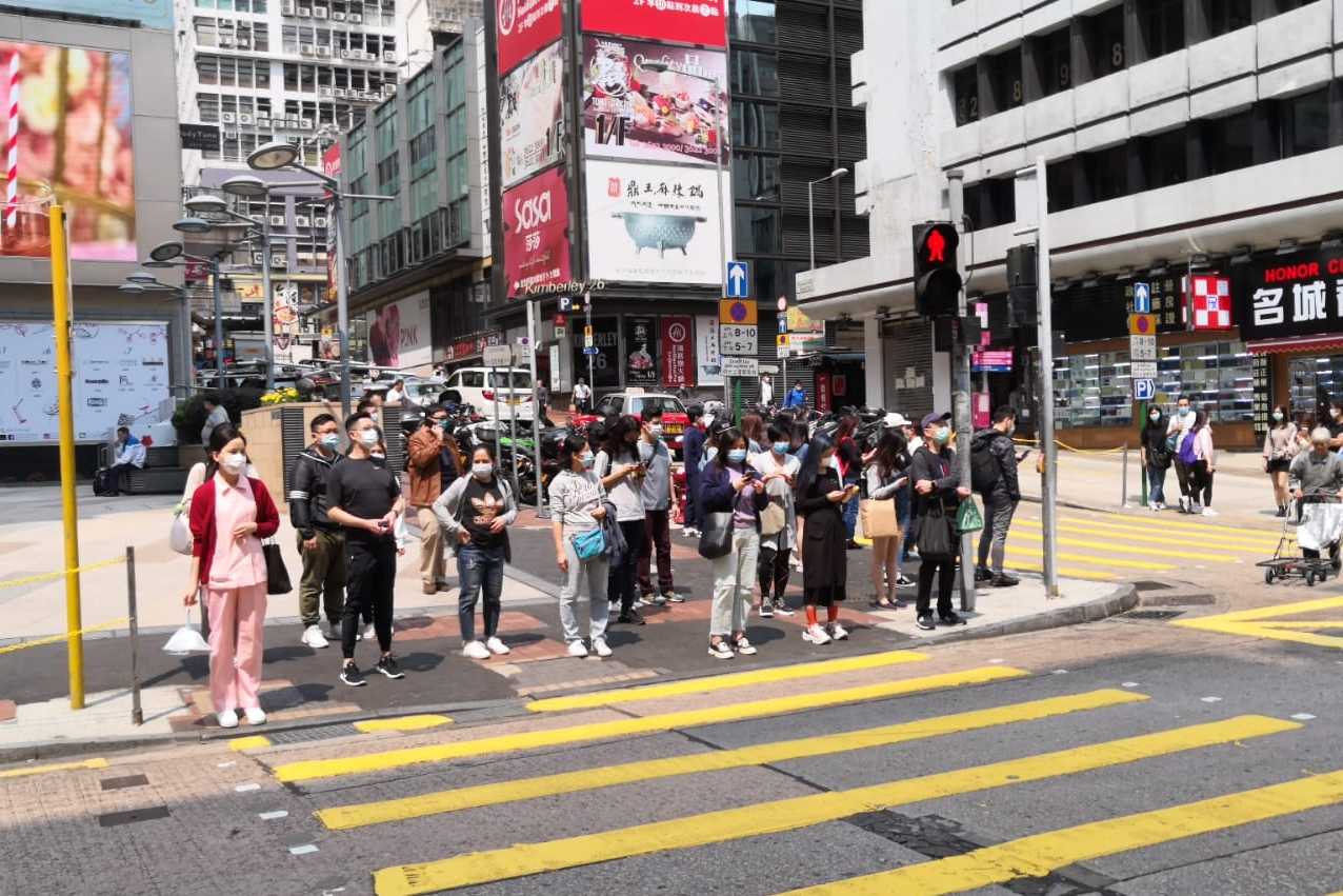 香港6合資料大全查詢十二生肖波路板，香港六合資料大全查詢，十二生肖波路板全解析