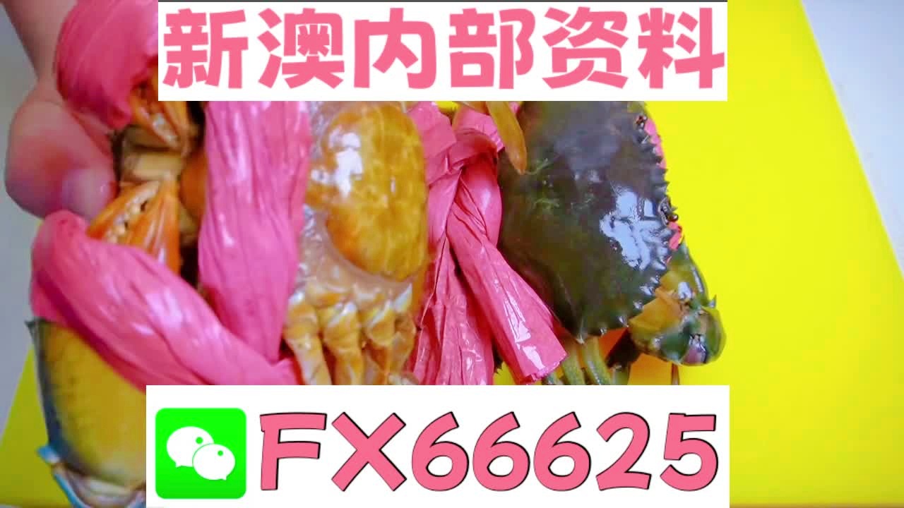 『深度解析』，2025新澳精準(zhǔn)資料大全詳解，深度解析，2025新澳精準(zhǔn)資料大全詳解與指南