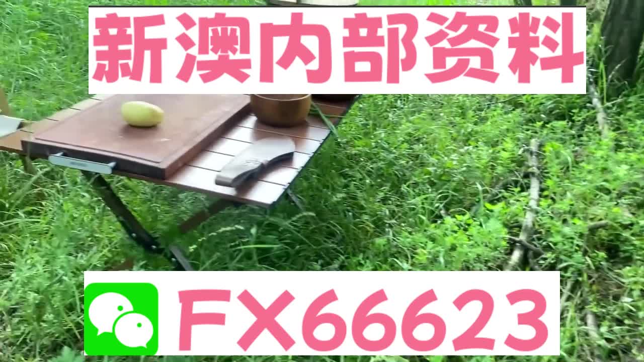 2025新澳精準(zhǔn)正版資料大全，一網(wǎng)打盡各類資源，2025新澳正版資料大全，一網(wǎng)打盡各類資源匯總