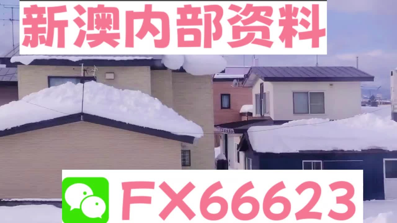揭秘2025新澳精準(zhǔn)資料大全，深度解析與應(yīng)用，揭秘2025新澳精準(zhǔn)資料大全，深度解析與實(shí)戰(zhàn)應(yīng)用指南