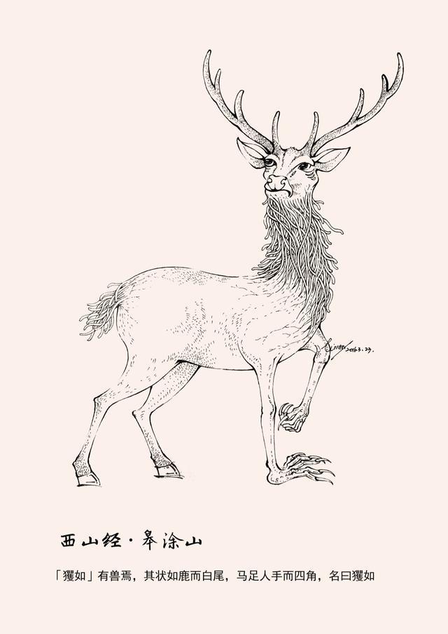 今期四不像正確一肖解密與解析，四不像生肖解密，揭秘今期正確一肖的秘密