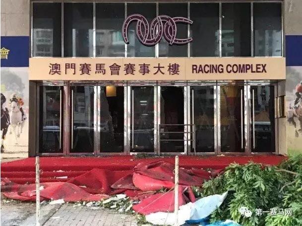 馬會(huì)傳真資料2025新澳門——探索未來的繁榮篇章，未來繁榮篇章，馬會(huì)傳真資料揭示2025年新澳門展望