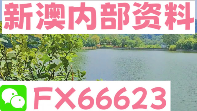 新澳精準(zhǔn)資料免費(fèi)提供網(wǎng)站與可用軟件概述，新澳精準(zhǔn)資料免費(fèi)分享平臺(tái)與軟件應(yīng)用概述