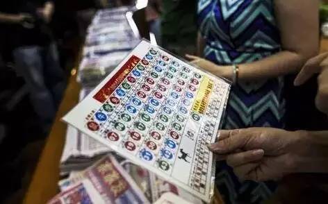 2025香港今晚六給彩開獎結果香港53期開什么號碼，香港今晚六給彩開獎結果及香港53期開獎號碼揭曉