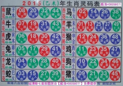 2025生肖49碼表圖片