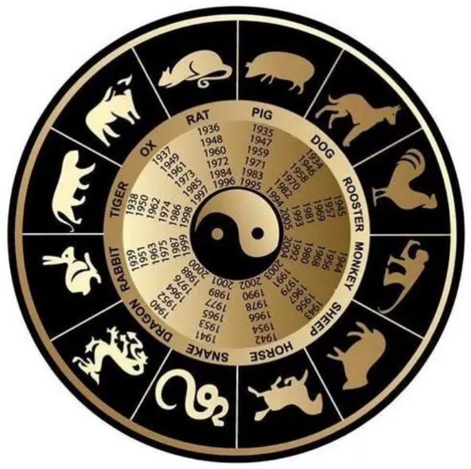 2024十二生肖49碼表圖，2024十二生肖49碼表圖全解析