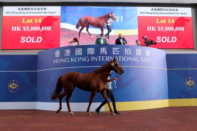 香港特馬開馬開獎(jiǎng)結(jié)果7月24日，香港特馬7月24日開獎(jiǎng)結(jié)果公布