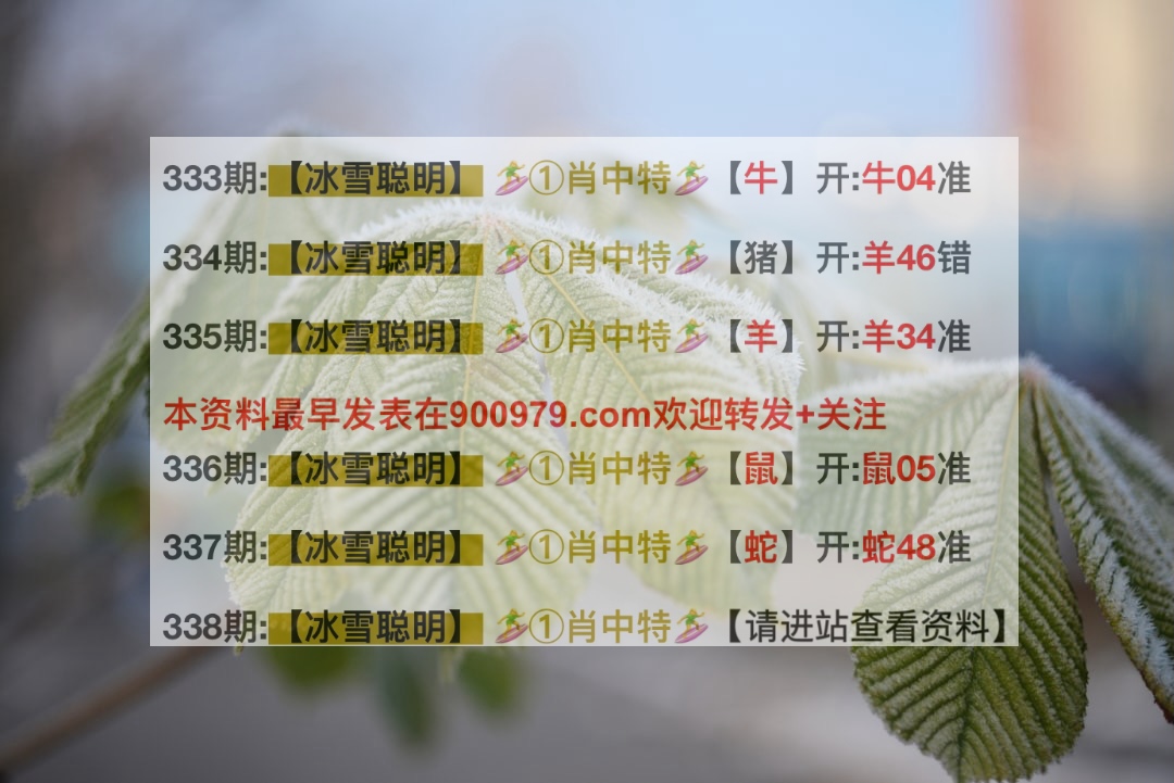 揭秘2025新澳精準(zhǔn)正版澳門碼，網(wǎng)絡(luò)熱門語言解讀，揭秘新澳正版澳門碼與熱門網(wǎng)絡(luò)語言解讀，預(yù)測未來的趨勢與秘密