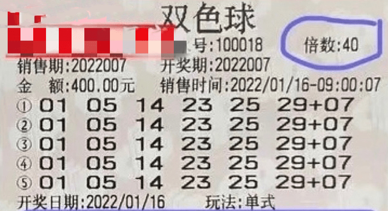 2025新澳門特馬今晚開獎掛牌，澳門特馬今晚開獎掛牌結(jié)果揭曉，2025新一期揭曉在即