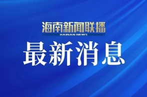 新澳2025正版資料，新澳2025正版資料概覽