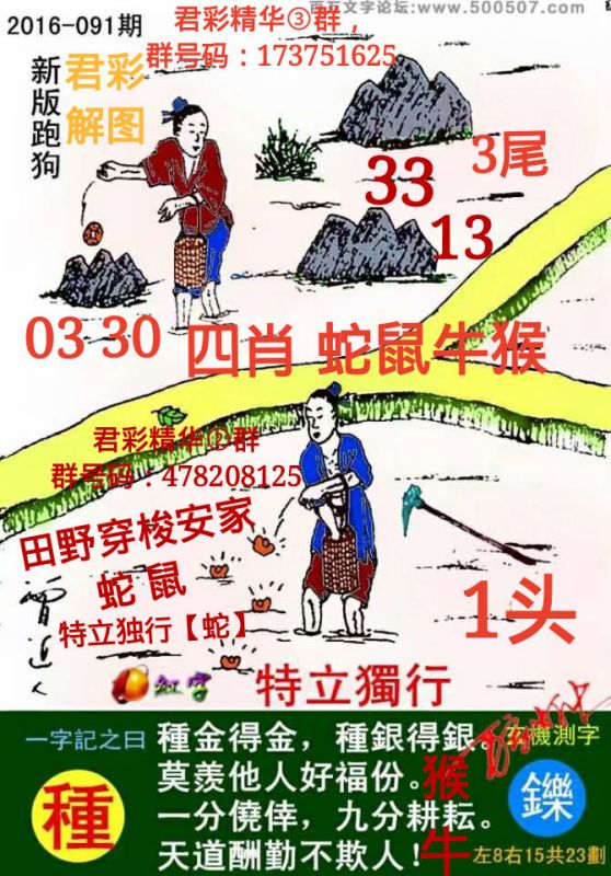 揭秘7777788888精準跑狗圖——一網(wǎng)打盡跑狗圖真相，揭秘跑狗圖真相，一網(wǎng)打盡精準跑狗圖解析