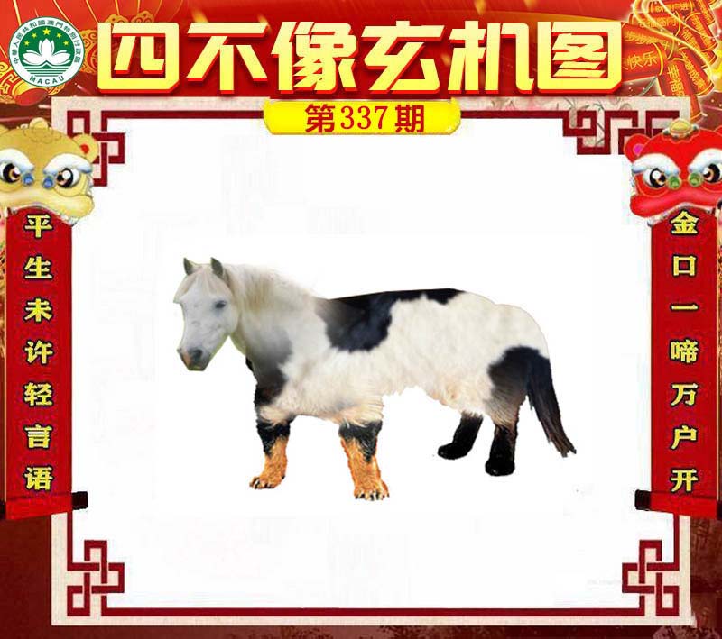 四不像今晚必中一肖，四不像預(yù)測，今晚必中一肖精選