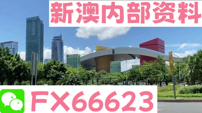 新澳精準(zhǔn)資料，新澳精準(zhǔn)資料概覽