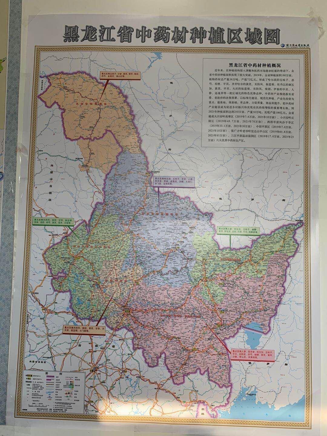 揭秘2025香港最準最快資料，洞悉未來藍圖，揭秘未來藍圖，香港2025最準最快資料全解析