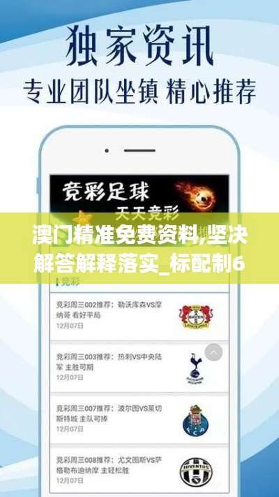 澳門最精準(zhǔn)免費(fèi)資料，揭秘澳門旅游與文化魅力，澳門旅游文化魅力揭秘，最精準(zhǔn)免費(fèi)資料大揭秘