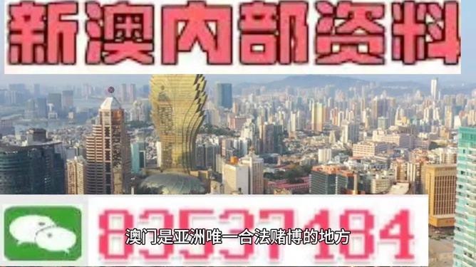 新澳門資料免費(fèi)2025年，澳門最新資訊免費(fèi)分享，2025年展望