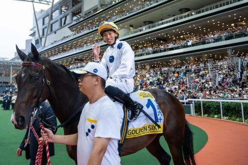 香港特馬王內(nèi)部資料免費公開，香港特馬王內(nèi)部資料揭秘，免費公開獨家情報