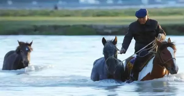 今晚澳門特馬開什么今晚四不像，澳門特馬今晚開獎結果及四不像分析